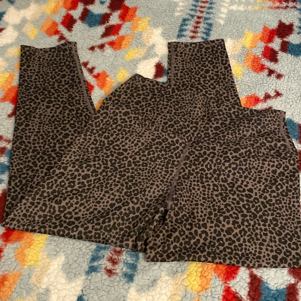 Evolution and creation legging